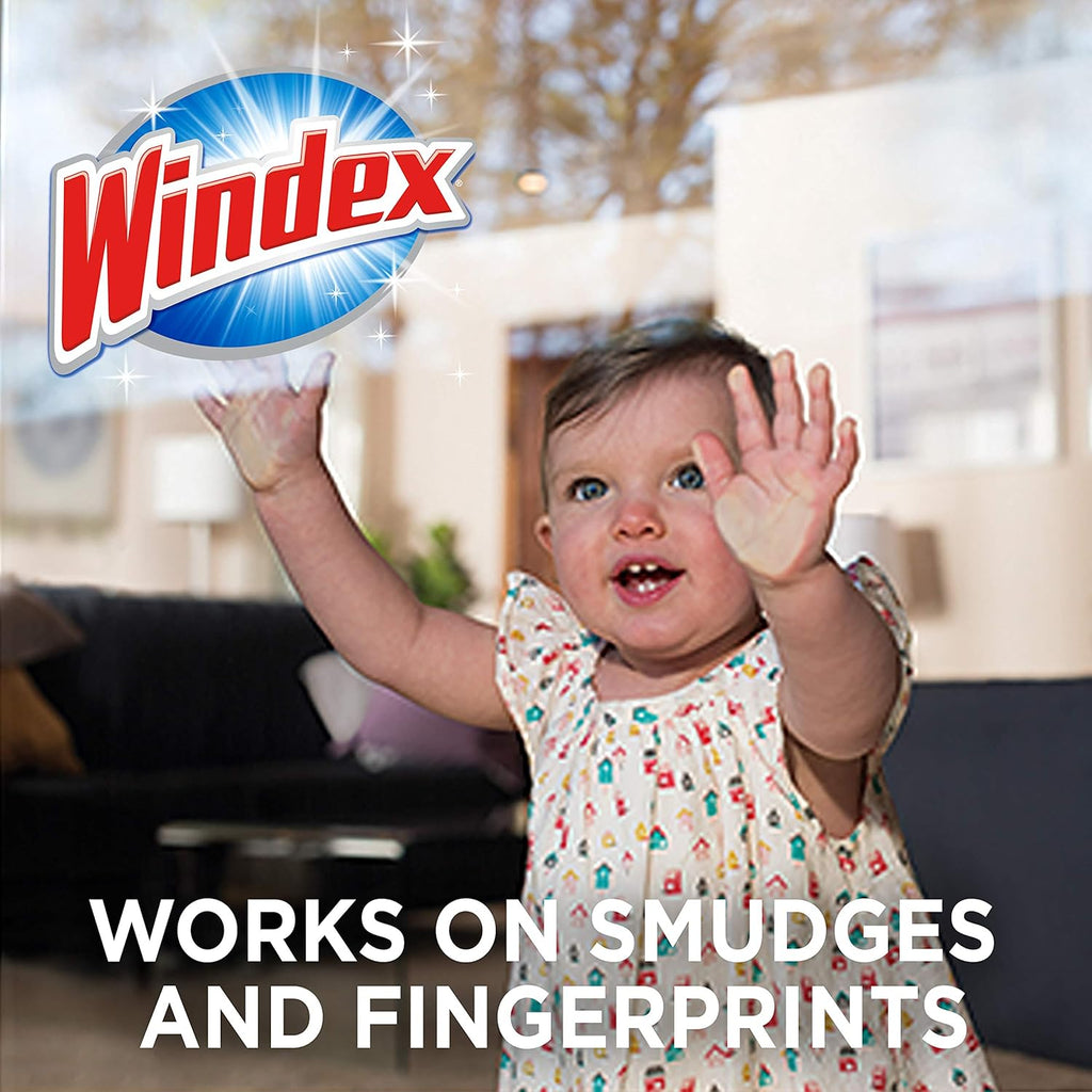 Windex Wipes Glass Cleaning Ammonia Free, Pre-Moistened Wipes for Cleaning All Glass Surfaces, Crystal Rain Fresh Scent, 25 Count